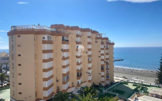 Estudio Amparo By Solymar Properties
